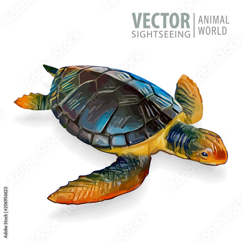 Big sea turtle. Vector illustration. Tortoise isolated on white background.