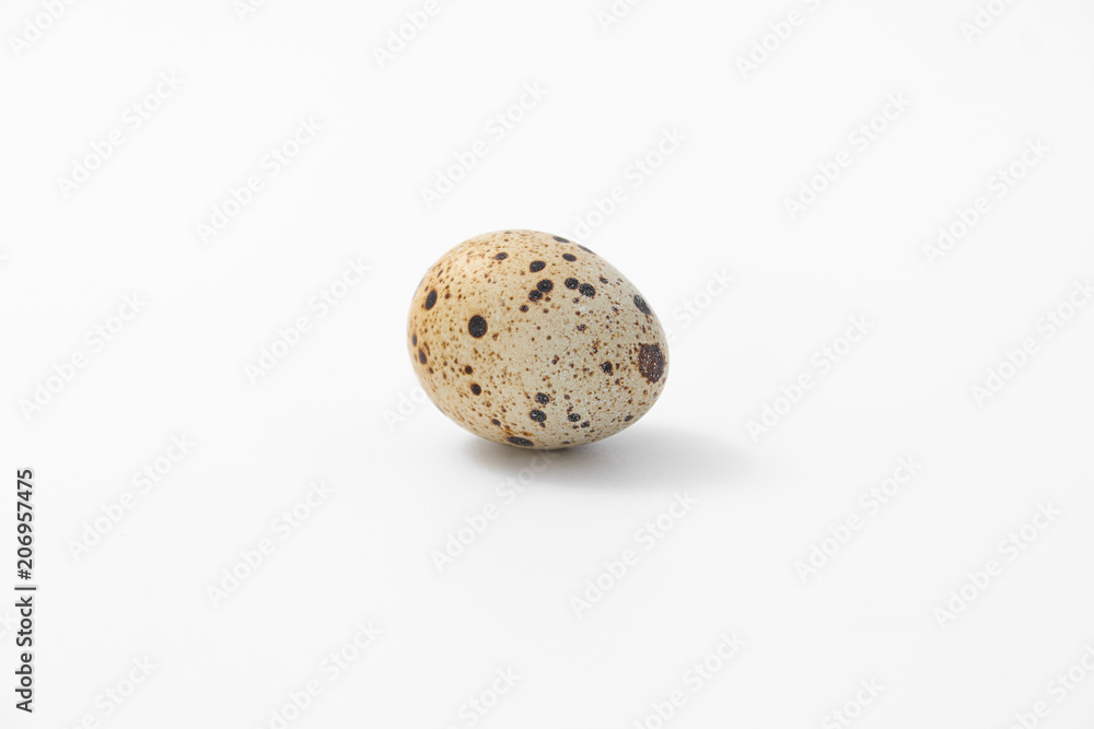 eggs quail spotted small on white background. eggs quail spotted small on white background.