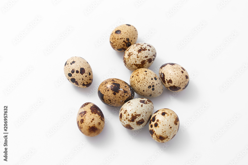 eggs quail spotted small on white background. eggs quail spotted small on white background.