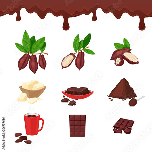 Cocoa and chocolate, vector cartoon design elements and icons set.