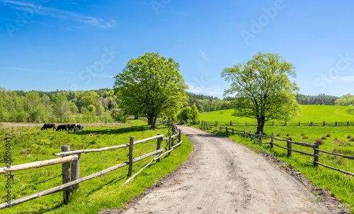 Countryside landscape with rural road and blue sky