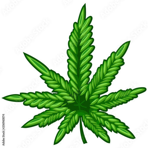 Marijuana or cannabis leaf vector icon isolated on white background.