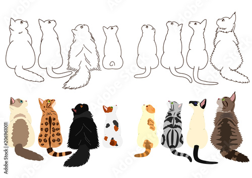 cats looking up sideways in two rows
