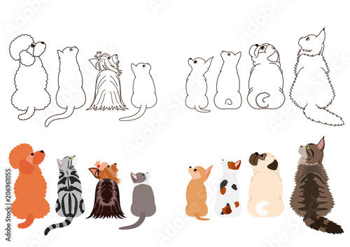 cats and small dogs looking up sideways in two rows