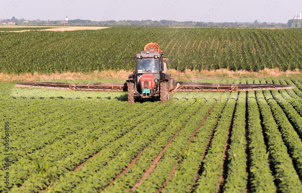Obraz premium Tractor spraying pesticides on soybean field with sprayer at spring