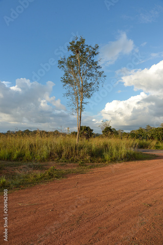 Dirt road in country