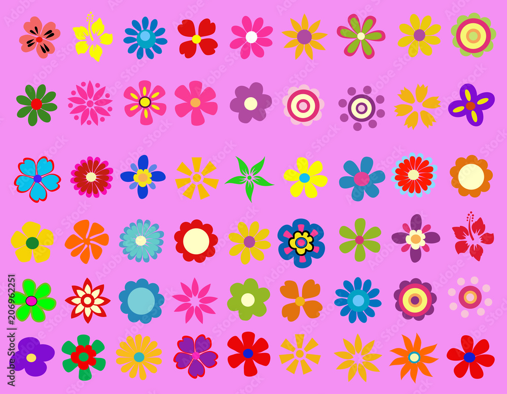 colorful spring flowers vector illustration 