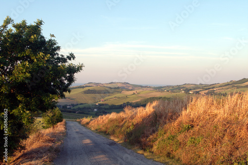 campagna,sentiero,colline,paesaggio,agricoltura,campi