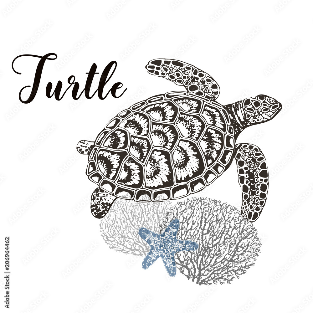 Fototapeta premium Hand drawn sketch style turtle, corals and sea star isolated on white background. Vector illustration.