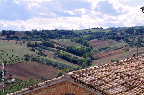collina,panorama,Italia,veduta,agricoltura,campi