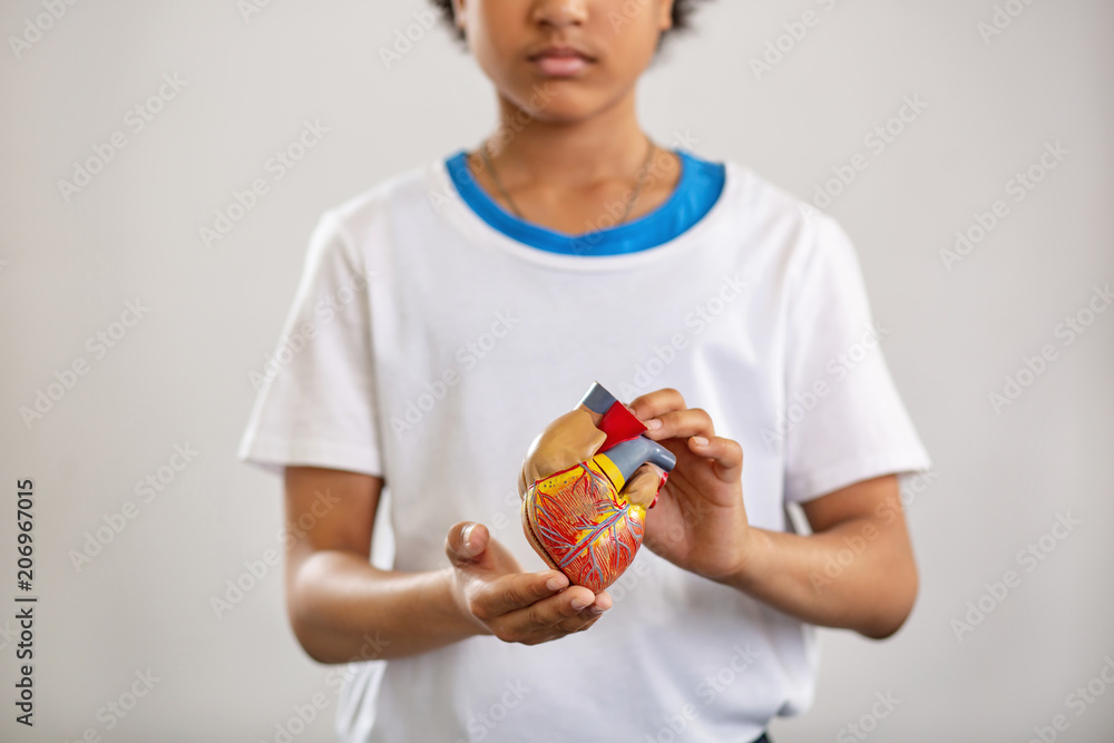 Human heart. Selective focus of a human organ being shown to you Human heart. Selective focus of a human organ being shown to you