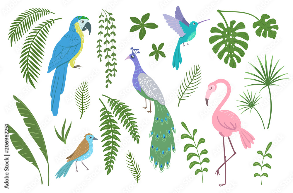 Set of exotic birds and plants. Vector illustration.