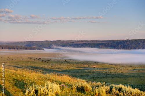 A thin layer of mist covering the valley floor of Hayden Valley around sunrise in Yellowstone National Park. Early July 2017.