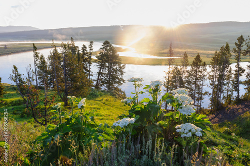 The yellowstone river meandering peacefully through Hayden Valley on an early morning in Yellowstone National Park photo