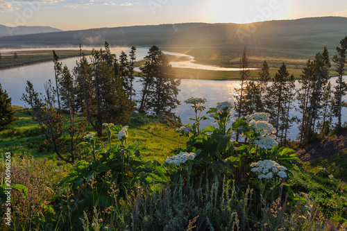 The yellowstone river meandering peacefully through Hayden Valley on an early morning in Yellowstone National Park