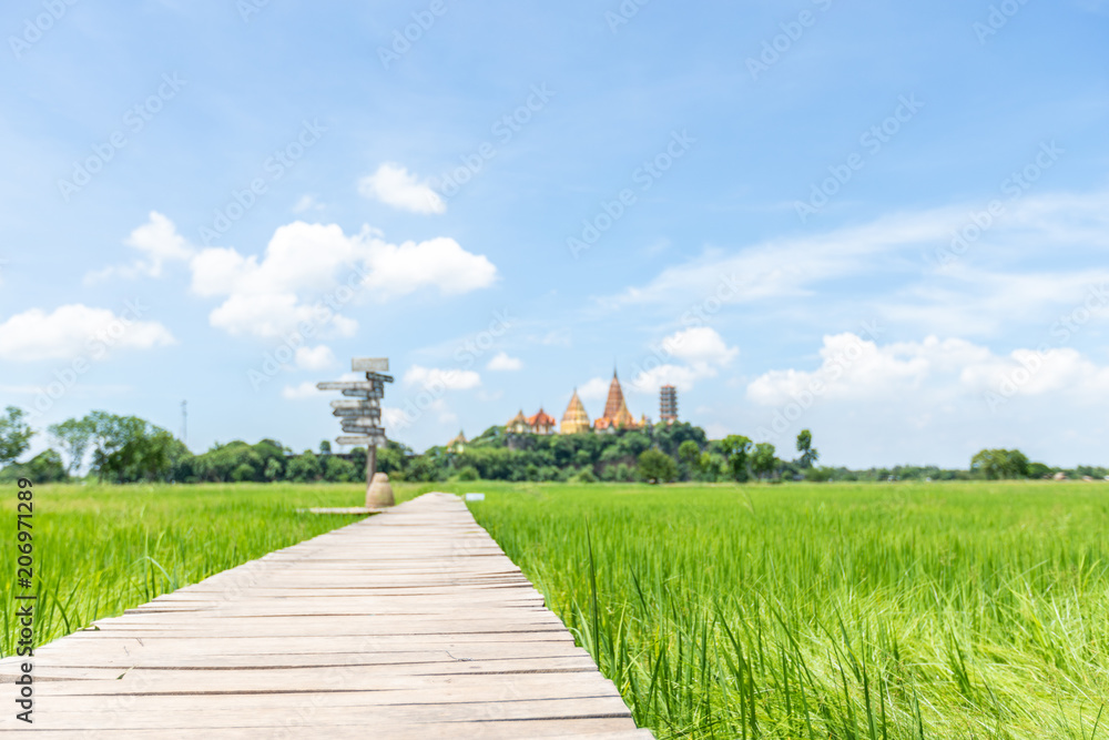 Beautiful view of wooden bridge with green field and blue sky. View of paddy field. Unmilled rice. Rice farm. Wallpaper, nature of thailand.