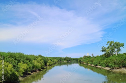 Soft focus of beautiful view of tropical forest and the river with reflection of clear blue sky and white cloud in summer time. Nature concept. © Aungsumol