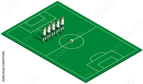 Green football field, soccer ball and team players