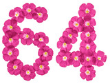 Arabic numeral 64, sixty four, from pink flowers of flax, isolated on white background