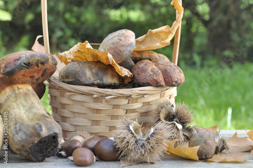 mushrooms in a basket and chestnuts  on a table outdoor