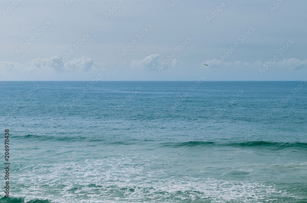 Blue Indian ocean with clouds and bird on horizon