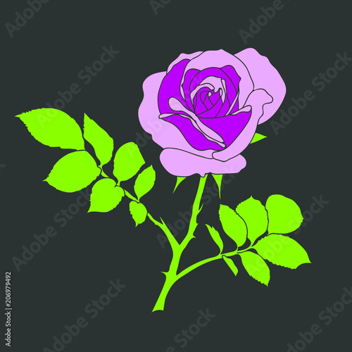 Sample of seamless violet rose background - pattern for continuous replicate on black background.