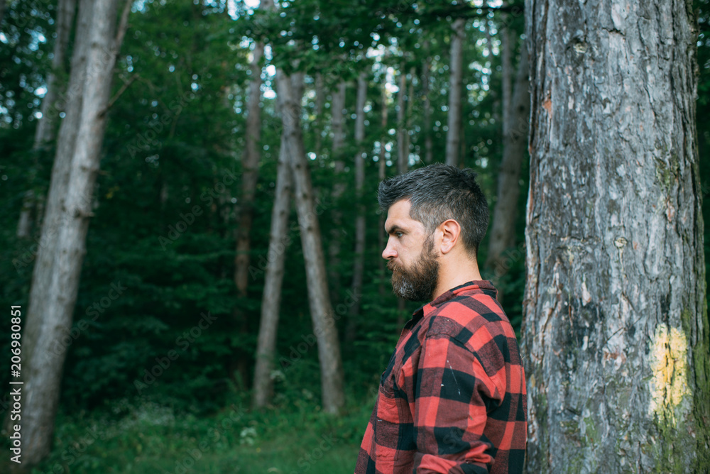 Brutal man with stylish beard and mustache wandering in woods. Side view lumberjack walking around forest. Environment, nature and leisure activity concept Brutal man with stylish beard and mustache wandering in woods. Side view lumberjack walking around forest. Environment, nature and leisure activity concept