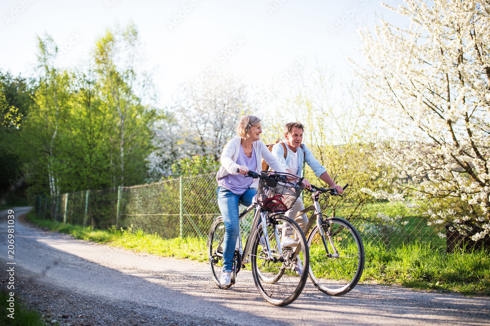 Senior couple with bicycles outside in spring nature.