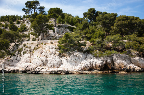 The famous Calanques national park of Cassis (near Marseilles in Provence, France) - blue turquoise water, white rocks and green pinewood.