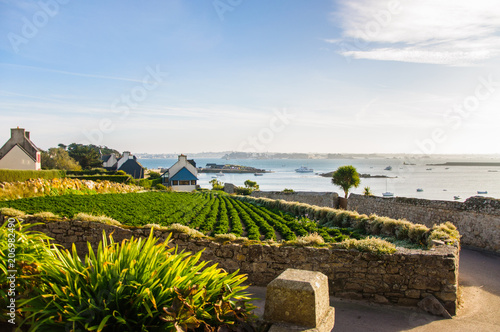 Ile de Batz