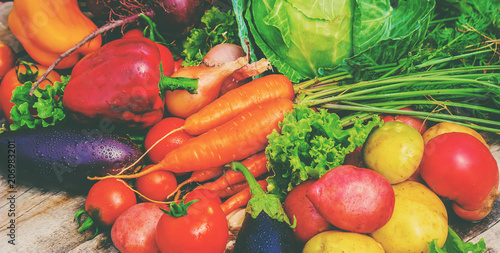 Different bio vegetables. Selective focus. photo