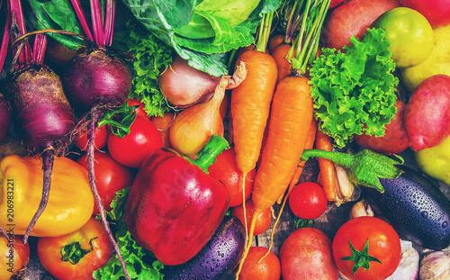 Different bio vegetables. Selective focus. photo