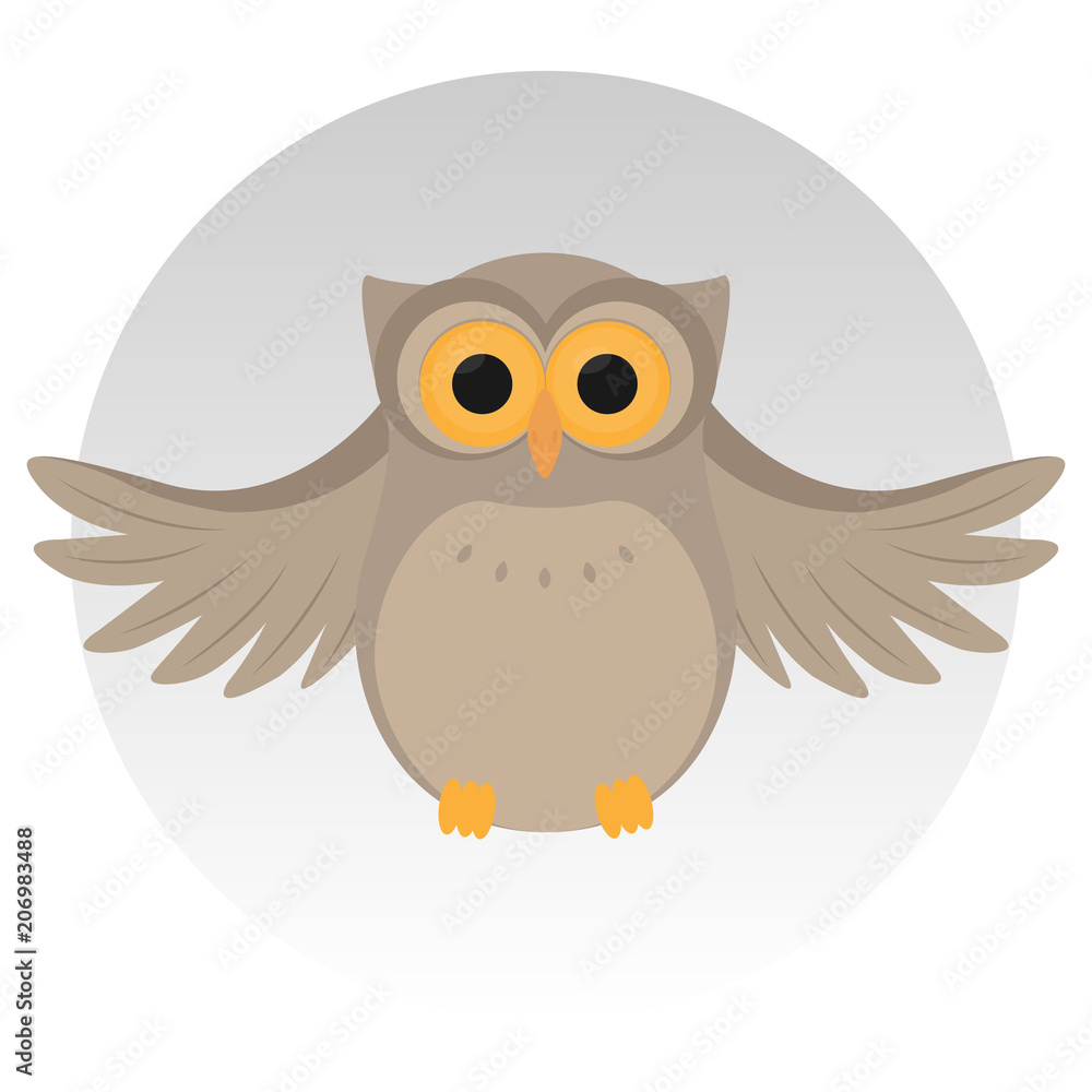 Nice owl, sit, grey background Nice owl, sit, grey background