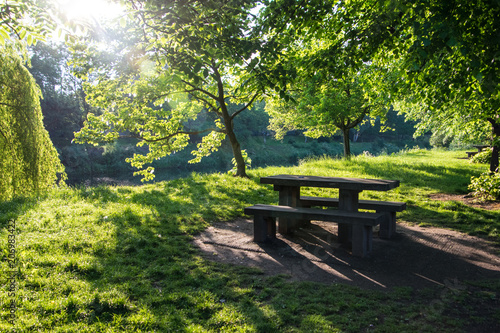 Sun rays shining through the tree branches in the park with a bench and the table