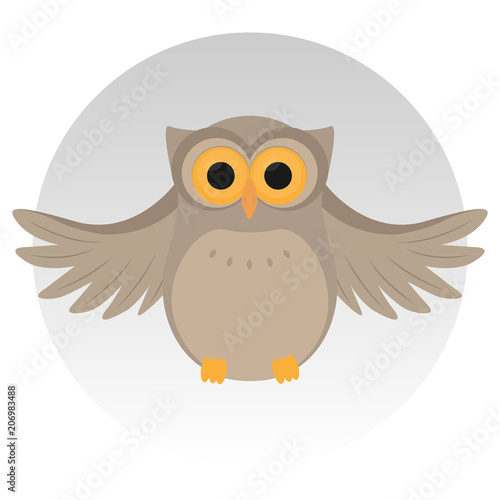 Nice owl, sit, grey background