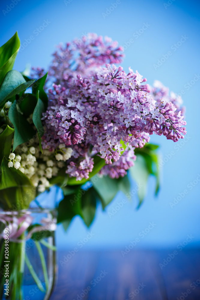 branch of blossoming spring lilac branch of blossoming spring lilac
