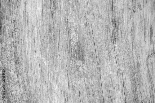 White wood pattern texture for background. Wood surface for texture design.