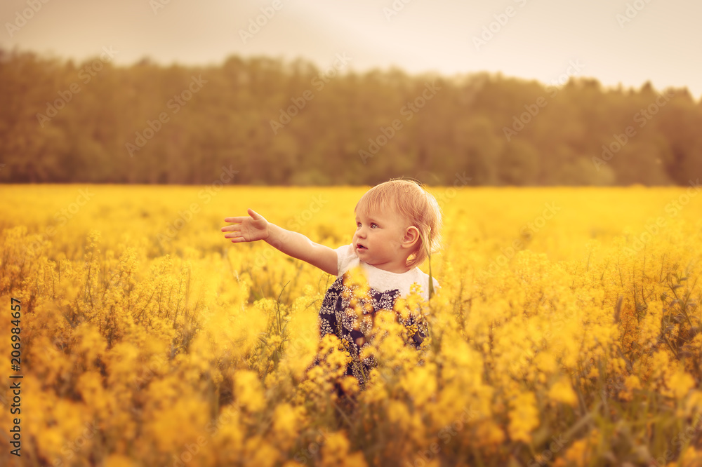 Pretty little girl in a field at sunset. Pretty little girl in a field at sunset.