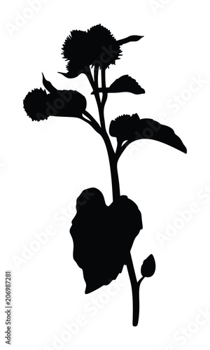 Burdock silhouette isolated on white background