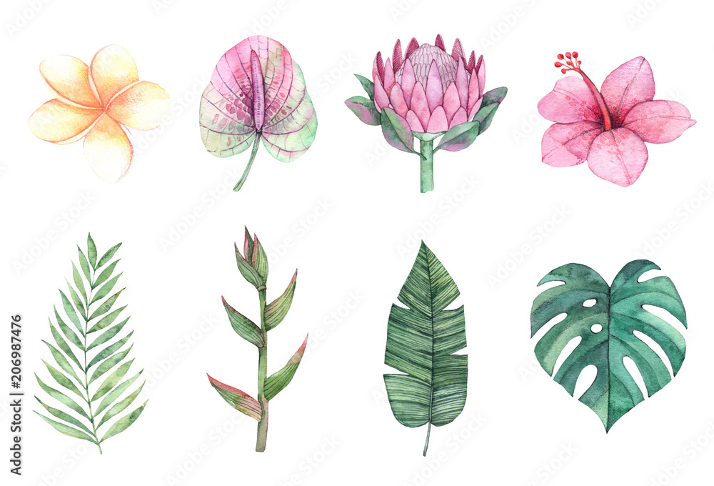 Watercolor illustrations. Green palm leaves and tropical flowers. Summer design elements. Perfect for prints, posters, invitations, greeting cards, advertising, banner etc
