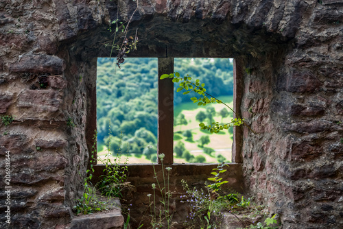 Fototapeta Naklejka Na Ścianę i Meble -  Burgfenster, Festung, Fenster verwildert 
