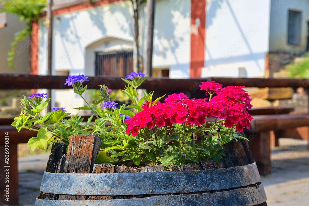 Old rustic wine barrel with flowers. Wine background in Europe. Czech Republic, South Moravia. 