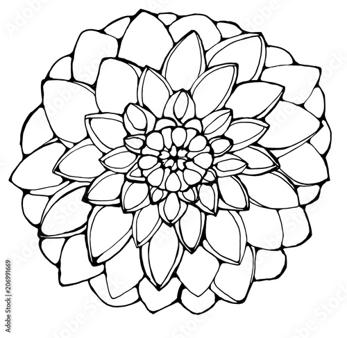 Black and white picture of a dahlia flower. Good ihe idea for a tattoo
