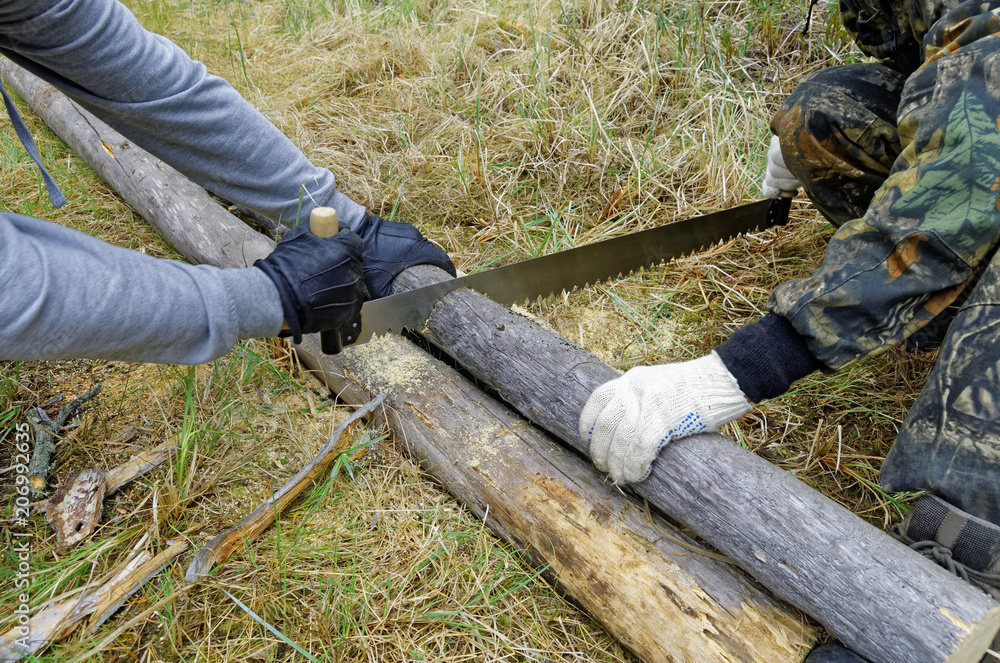 Harvesting firewood for the fire in the taiga