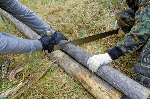 Harvesting firewood for the fire in the taiga