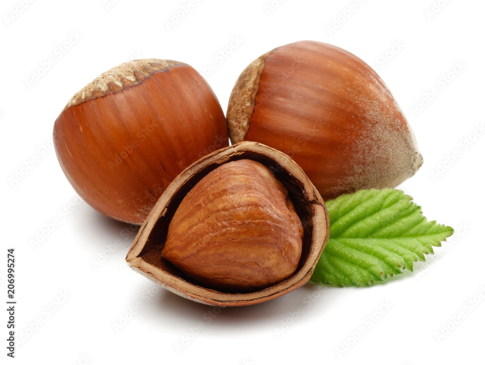 Hazelnut Hazelnut