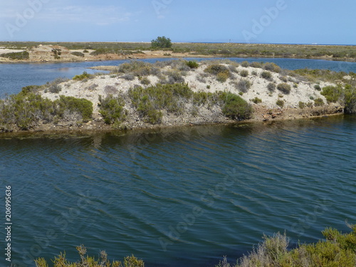 Punta Entinas Sabinar, paraje natural de costa y reserva natural situado en El Ejido y Roquetas de Mar, en la provincia de Almería (Andalucia, España) photo