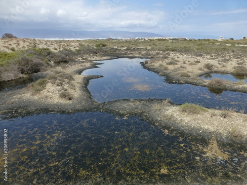 Punta Entinas Sabinar  paraje natural de costa y reserva natural situado en El Ejido y Roquetas de Mar  en la provincia de Almer  a  Andalucia  Espa  a 