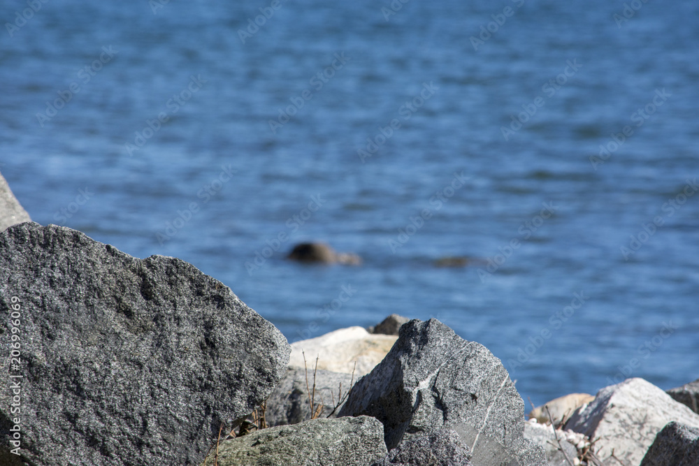 Rocks with a shory background in NY Rocks with a shory background in NY