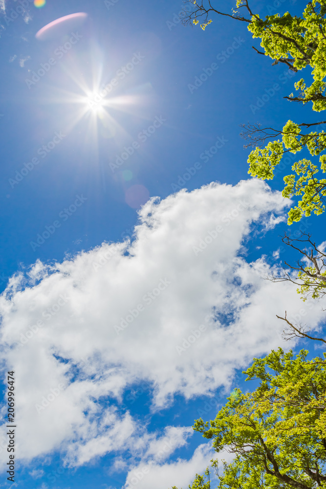 Obraz premium 青空と雲と新緑